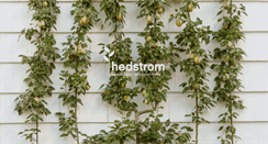 Desktop Screenshot of hedstromdesign.com
